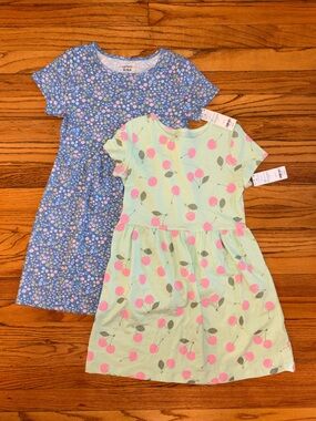 Carter's Girls’ NWT Dress Bundle - Pink Cherry Print & Blue Floral